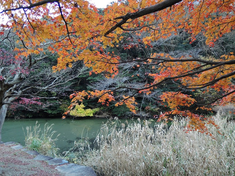 鎌倉中央公園 下池