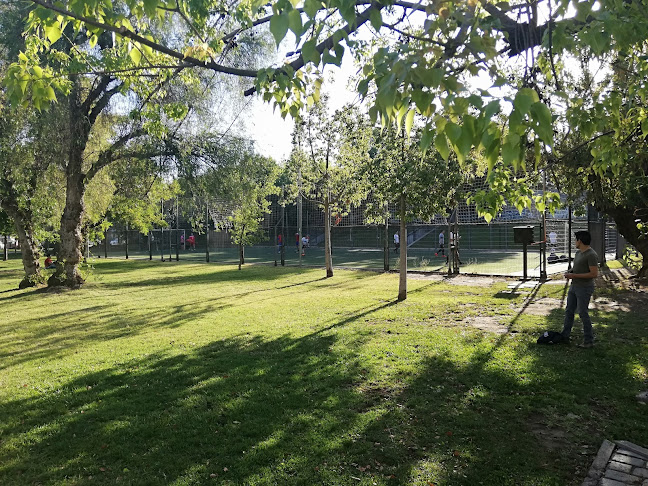 Cancha Fútbol Pasto Sintético Parque O'Higgins - Campo de fútbol