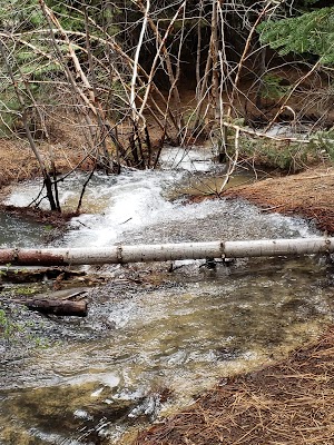 Hunter Creek Falls - photo 44