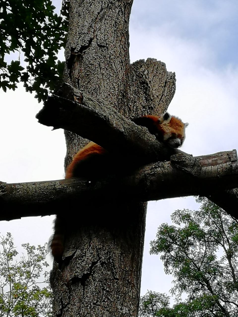 Photo n° 5 de l'avis de Amine.U fait le 09/09/2019 à 14:00