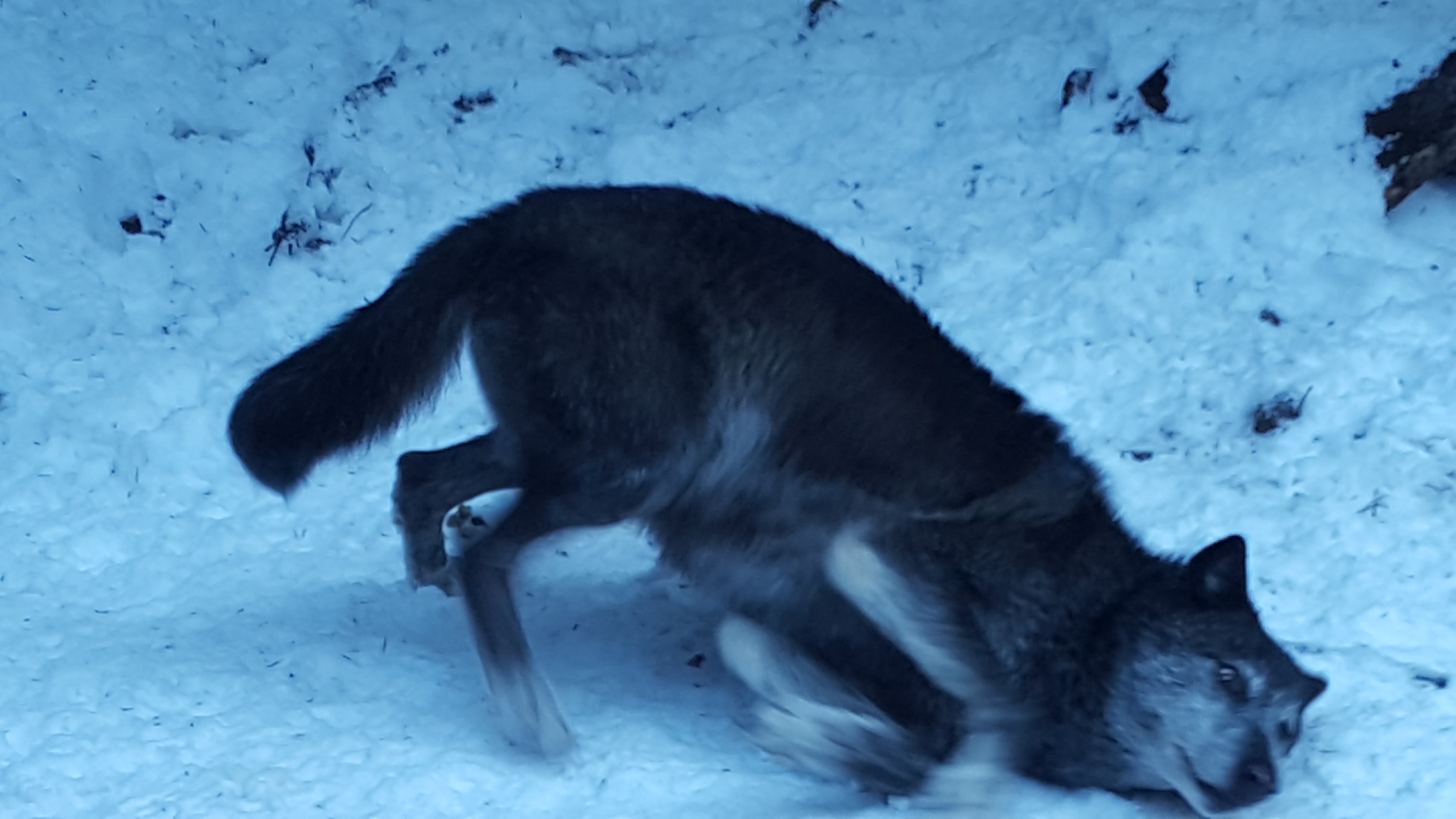 Photo n° 5 de l'avis de Pacôme.l fait le 16/01/2017 à 15:09