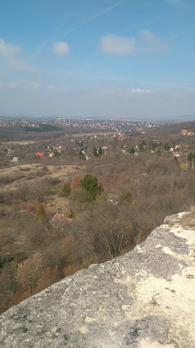 Riala Bt. - Biatorbágy