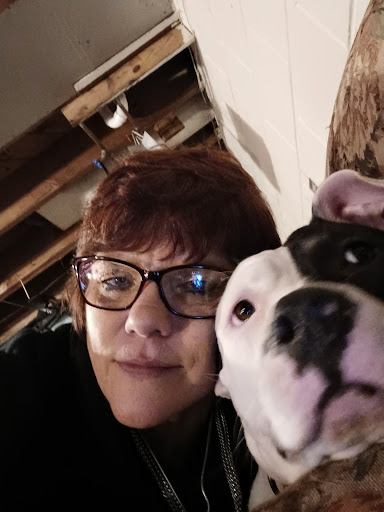 Pet Supply Store «K-9 Specialties», reviews and photos, 31936 Mound Rd, Warren, MI 48092, USA