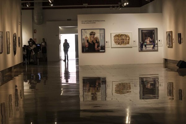 Imagen de Van Gogh Alive Alicante (9 de 24)