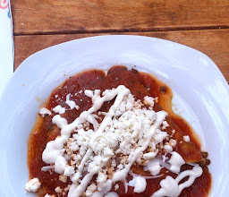 El Jardín De Alicia photo