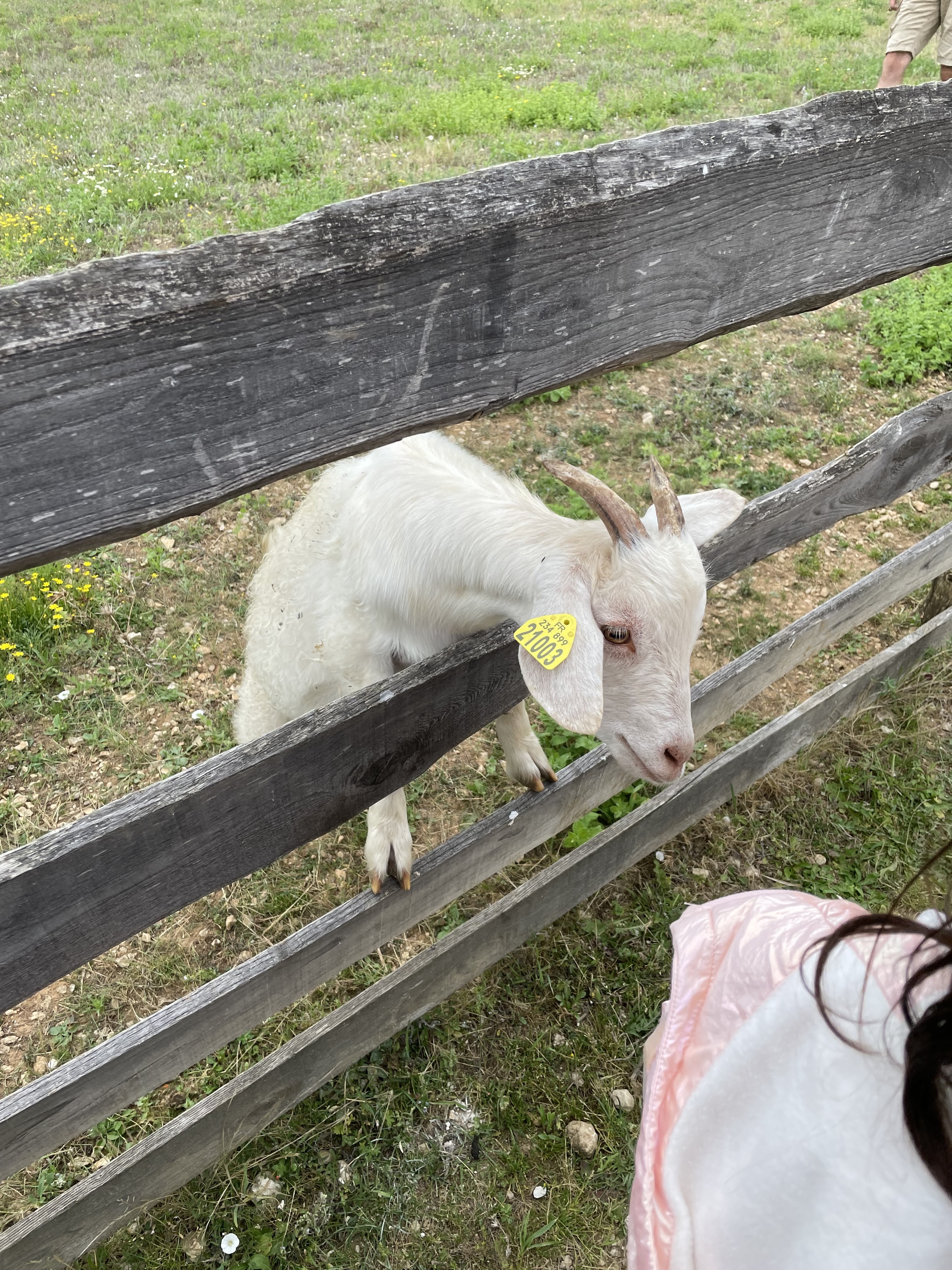 Photo n° 2 de l'avis de Saïd.l fait le 03/08/2021 à 16:42