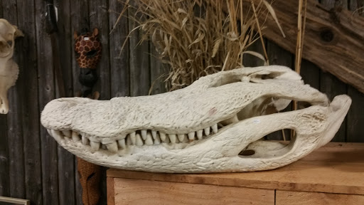 Rock Shop «Prospectors Crystals, Rocks & Gift Shop», reviews and photos, 1640 Gravois Rd, High Ridge, MO 63049, USA