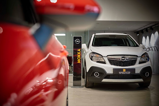 Reacties en beoordelingen van Opel Bariseau Mottrie Ieper