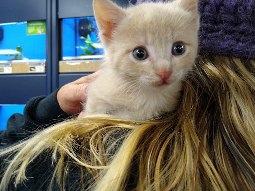 Pet Supply Store «Petco Animal Supplies», reviews and photos, 179 N Milwaukee St, Boise, ID 83704, USA