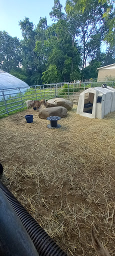 Farm «B & B Flower Farm», reviews and photos, 668 Jones Hill Rd, West Haven, CT 06516, USA