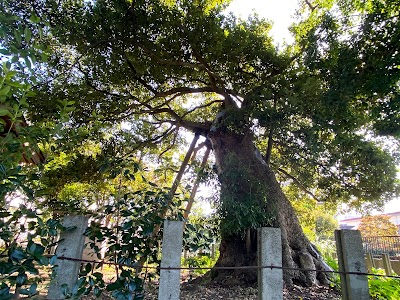 碇神社