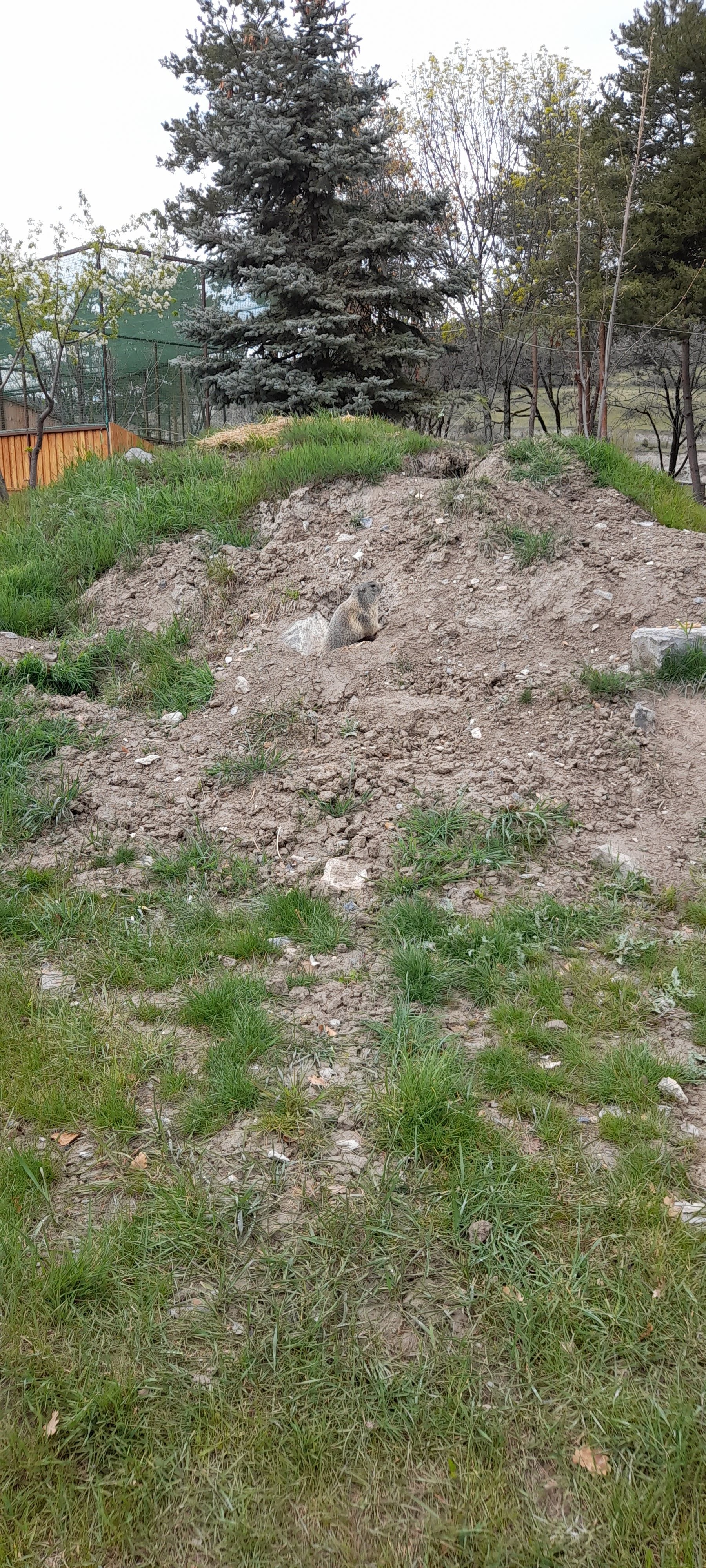 Photo n° 9 de l'avis de jennifer.a fait le 24/05/2023 à 11:46