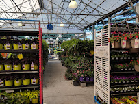 Lowe's Home Improvement - Photo 8 - Car repair in Virginia Beach, VA, Chesapeake