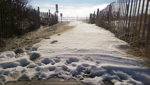 Hotel «Beach Shack», reviews and photos, 205 Beach Ave, Cape May, NJ 08204, USA