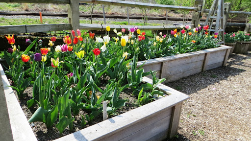 Park «Stango Park», reviews and photos, 114 E. Third Street, Lewes, DE 19958, USA