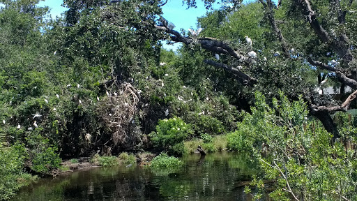 Zoo «St. Augustine Alligator Farm Zoological Park», reviews and photos, 999 Anastasia Blvd, St Augustine, FL 32080, USA