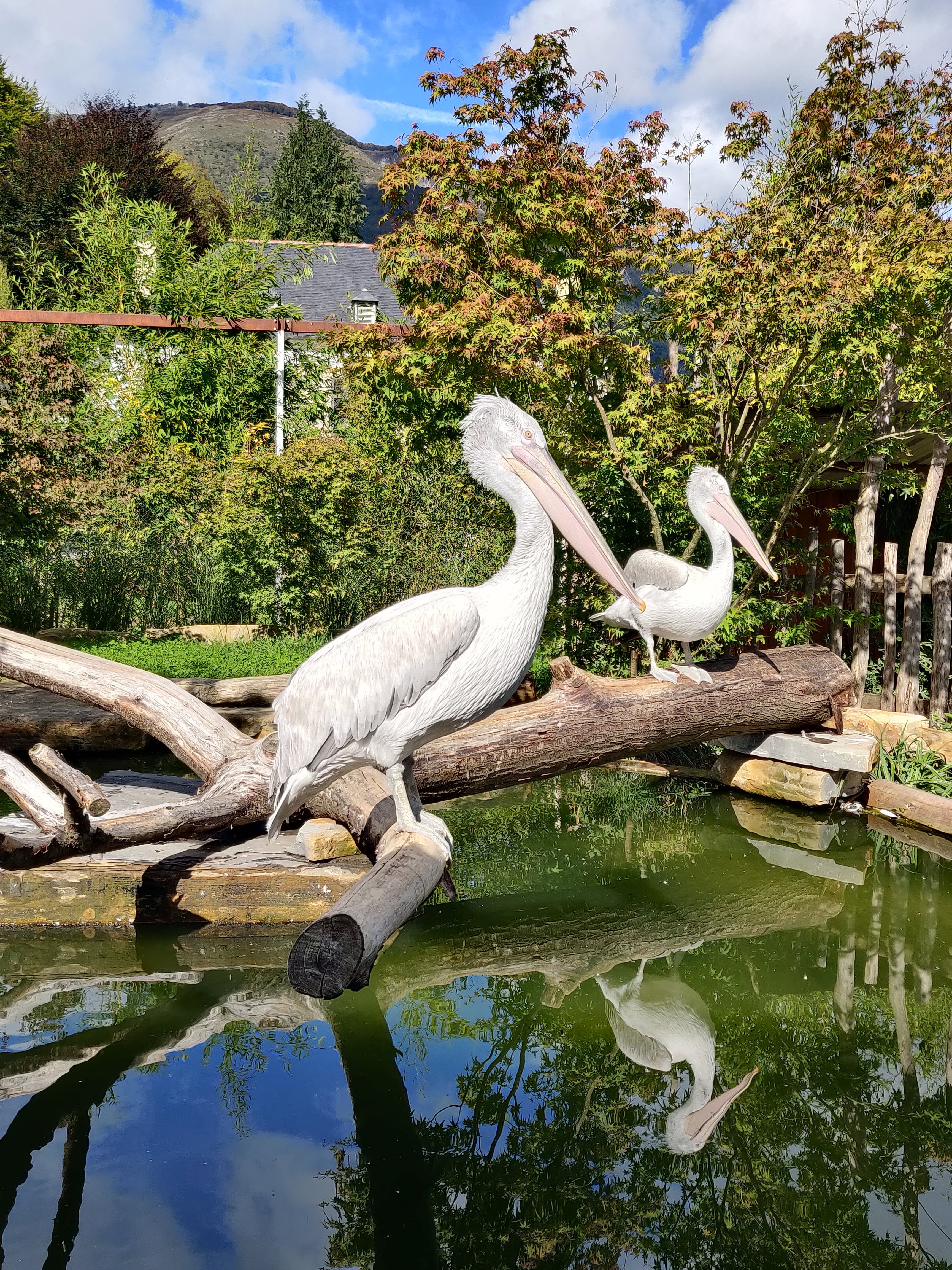 Photo n° 11 de l'avis de Kelly.e fait le 06/10/2020 à 20:25