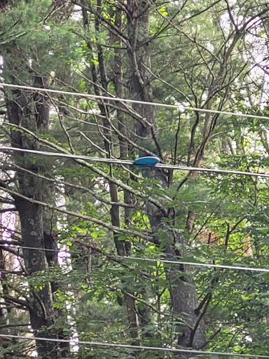 Disc Golf Course «Bellamy Park Disc Golf», reviews and photos, Bellamy Rd, Dover, NH 03820, USA