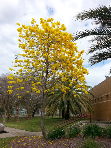 Community Center «Simpson Park Community Center», reviews and photos, 1725 Martin L King Jr Ave, Lakeland, FL 33805, USA