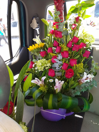 Floreria La Riviera – Playa del Carmen