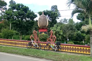 Tugu Durian Sukadanaham image