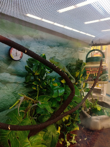 Pet Supply Store «Petco Animal Supplies», reviews and photos, 22511 TX-249, Houston, TX 77070, USA