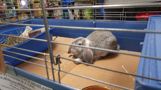 Pet Supply Store «Petland Discounts - Austin Street», reviews and photos, 70-44 Austin St, Queens, NY 11375, USA