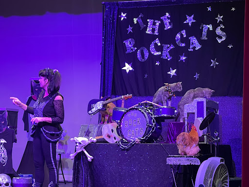 Performing Arts Theater «Catherine A Hickman Theater», reviews and photos, 5501 27th Ave S, Gulfport, FL 33707, USA