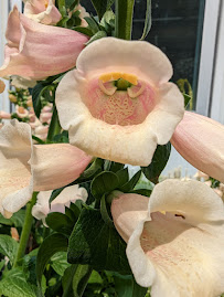 Smithland Pet & Garden Center - Photo 7 - Car repair in North Branford, CT, New Haven