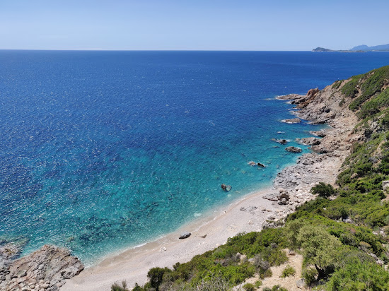 Fenile Beach