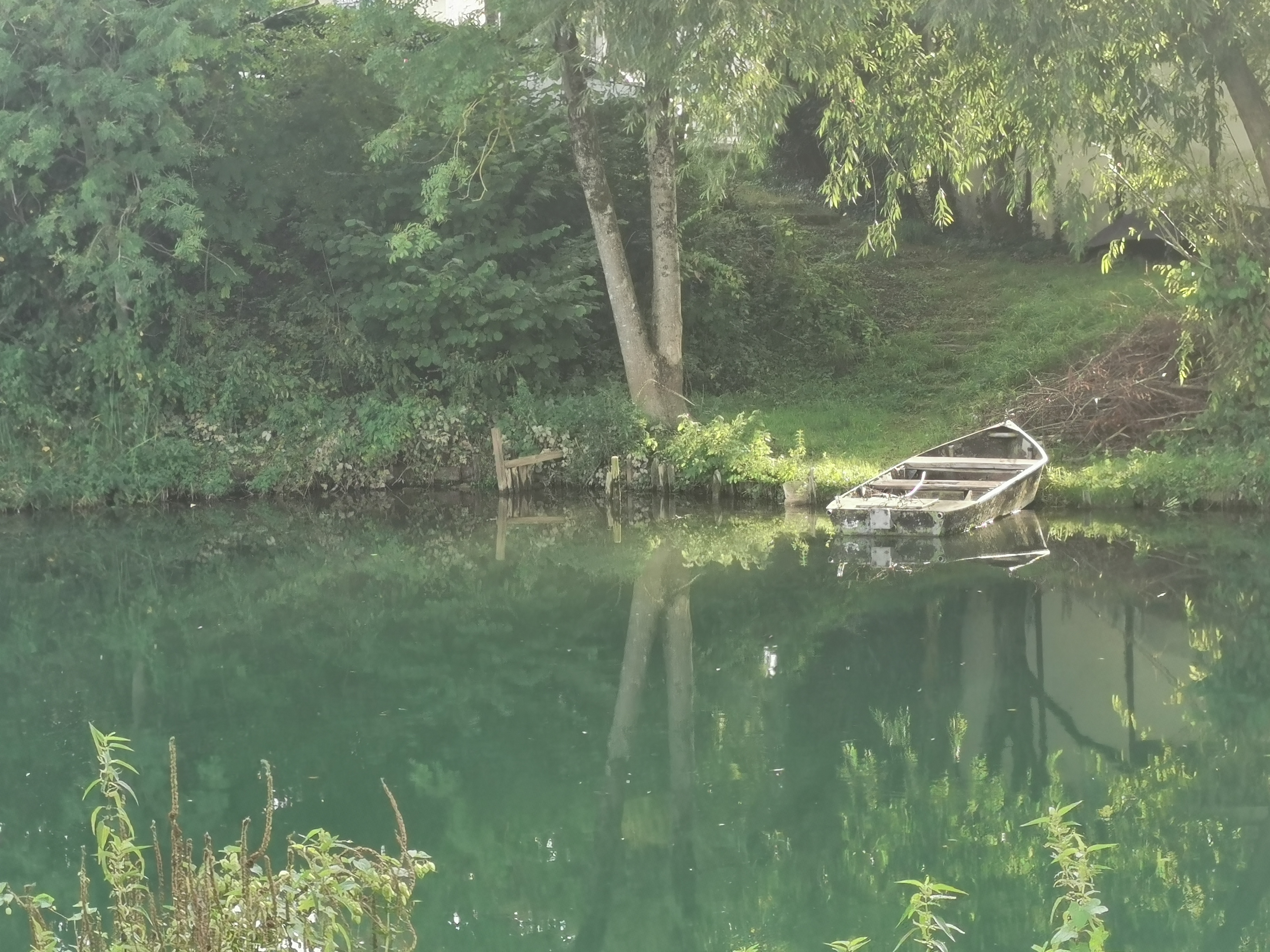Photo n° 18 de l'avis de Phidis.a fait le 10/07/2019 à 10:30