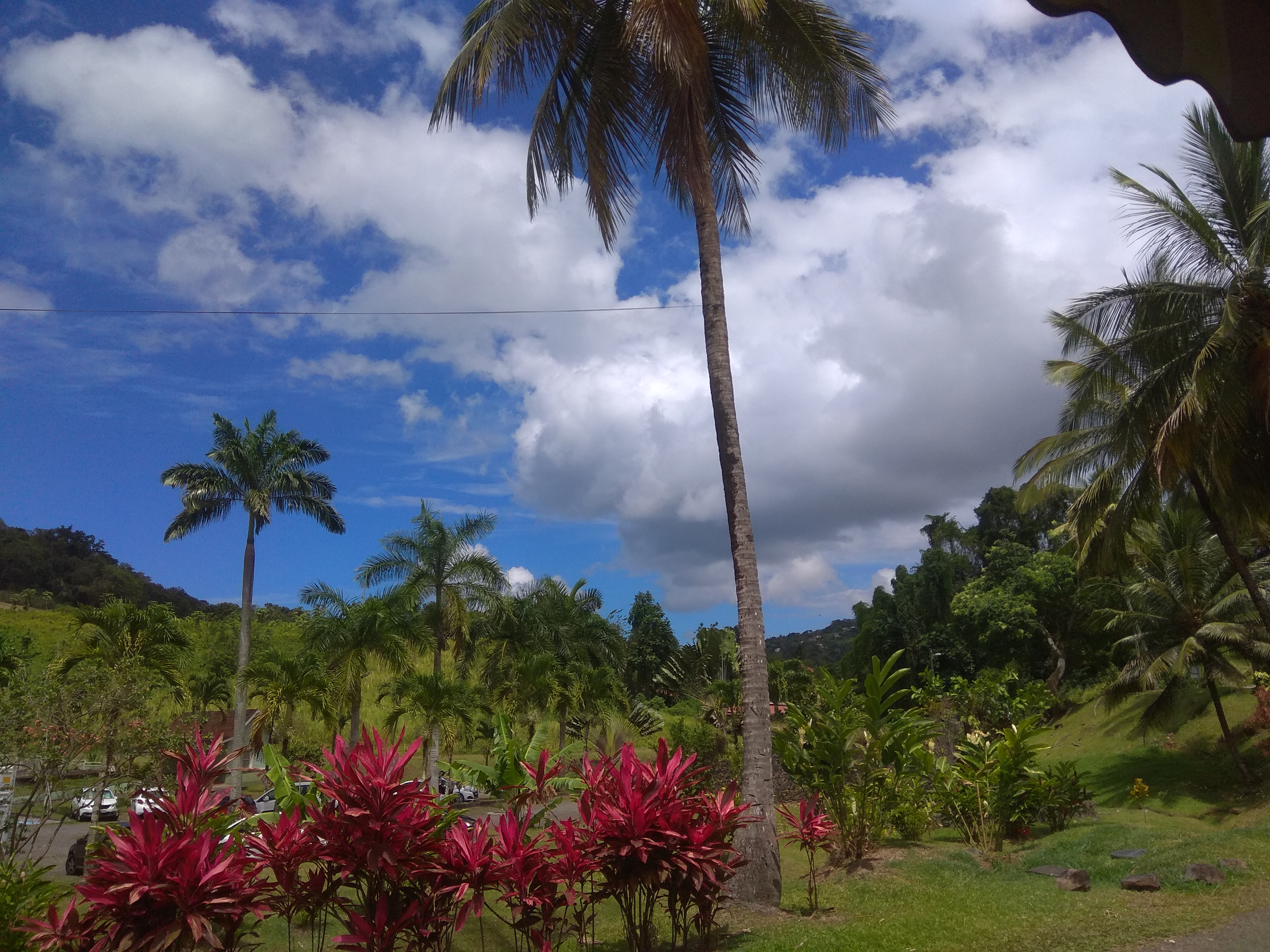 Photo n° 2 de l'avis de Dia.. fait le 02/05/2019 à 00:08