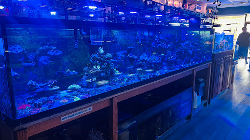 Tropical Fish Store «Wet Pets», reviews and photos, 520 Hartford Turnpike # X, Vernon, CT 06066, USA