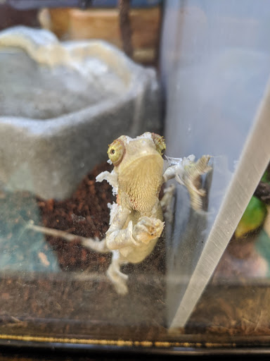 Pet Supply Store «Petco Animal Supplies», reviews and photos, 1220 Commons Cir, Plover, WI 54467, USA