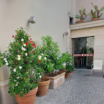 Photo n°3 de l'avis de Antonella.v fait le 03/05/2024 à 16:41 sur le  Hotel Forum Pompei à Pompei