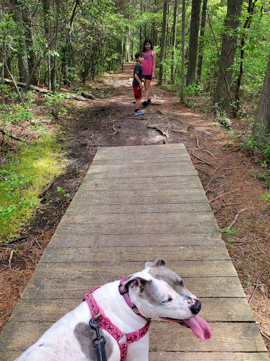 Community Park «Wells Mills County Park», reviews and photos, 905 Wells Mills Rd, Waretown, NJ 08758, USA