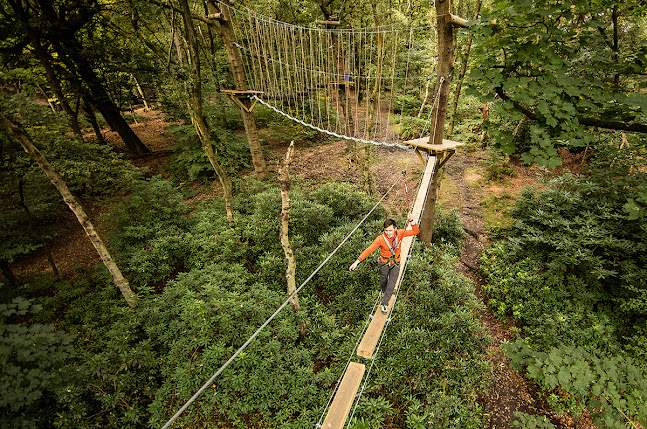 Treetop Manchester - Treetop Trek & Treetop Nets