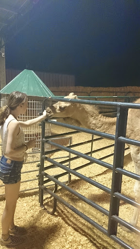 Home Improvement Store «The Home Depot», reviews and photos, 1225 Wimberly Dr SW, Decatur, AL 35603, USA