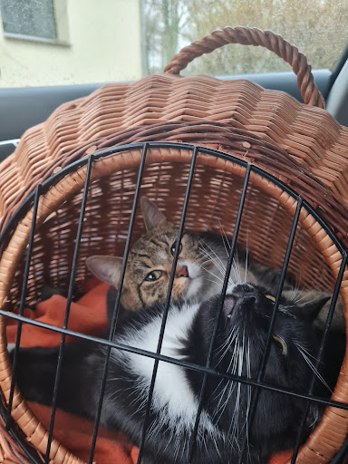 Tierarztpraxis für Kleintiere Dr. Ute Schönfelder unter Voigtsdorf, 
