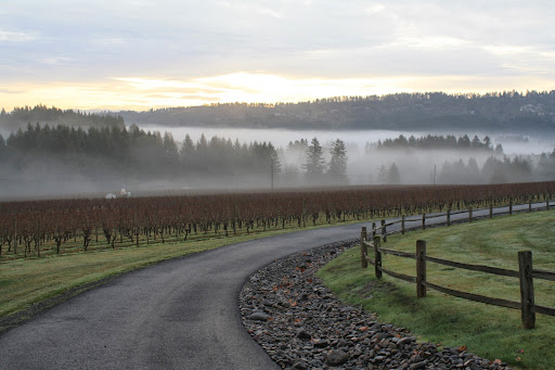Winery «Blakeslee Vineyard Estate», reviews and photos, 20875 SW Chapman Rd, Sherwood, OR 97140, USA