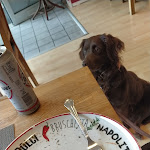 Photo n°1 de l'avis de Nataliia.e fait le 29/04/2022 à 15:03 sur le  Pizzeria & Baguetterie bei Panda à Datteln