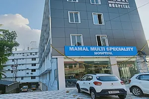 Mamal Multi Speciality Hospital image