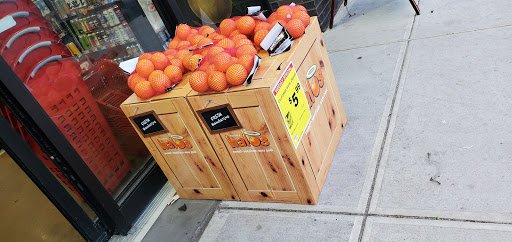 Grocery Store «Back To Earth Natural Foods», reviews and photos, 306 S Main St, New City, NY 10956, USA