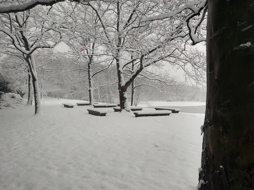 Insurance Company «Prudential Roseland», reviews and photos