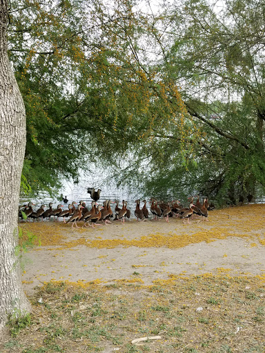 Park «Pendleton Park», reviews and photos, 1427 Morgan Blvd, Harlingen, TX 78550, USA