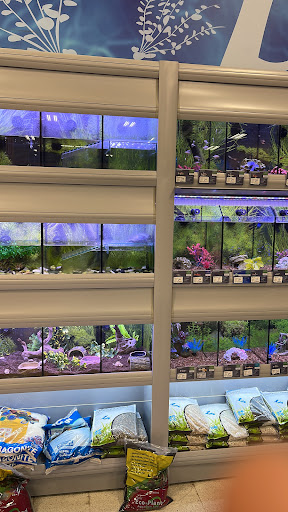 Pet Supply Store «PetSmart», reviews and photos, 4601 Outer Loop, Louisville, KY 40219, USA