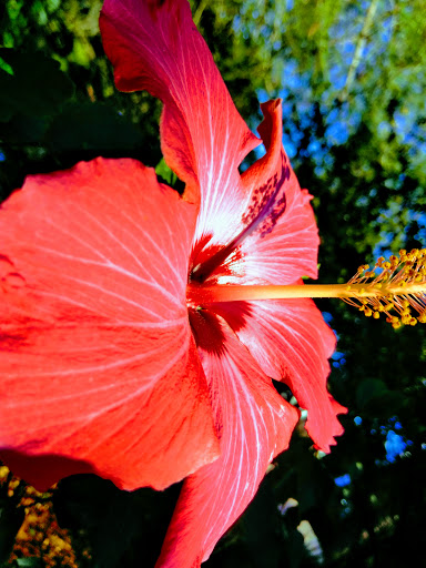 Park «George C. McGough Nature Park - The Narrows», reviews and photos, 11901 146th St N, Largo, FL 33774, USA