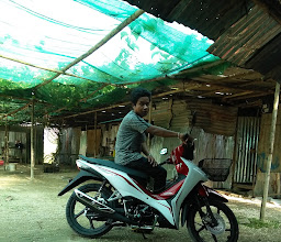 Honda photo