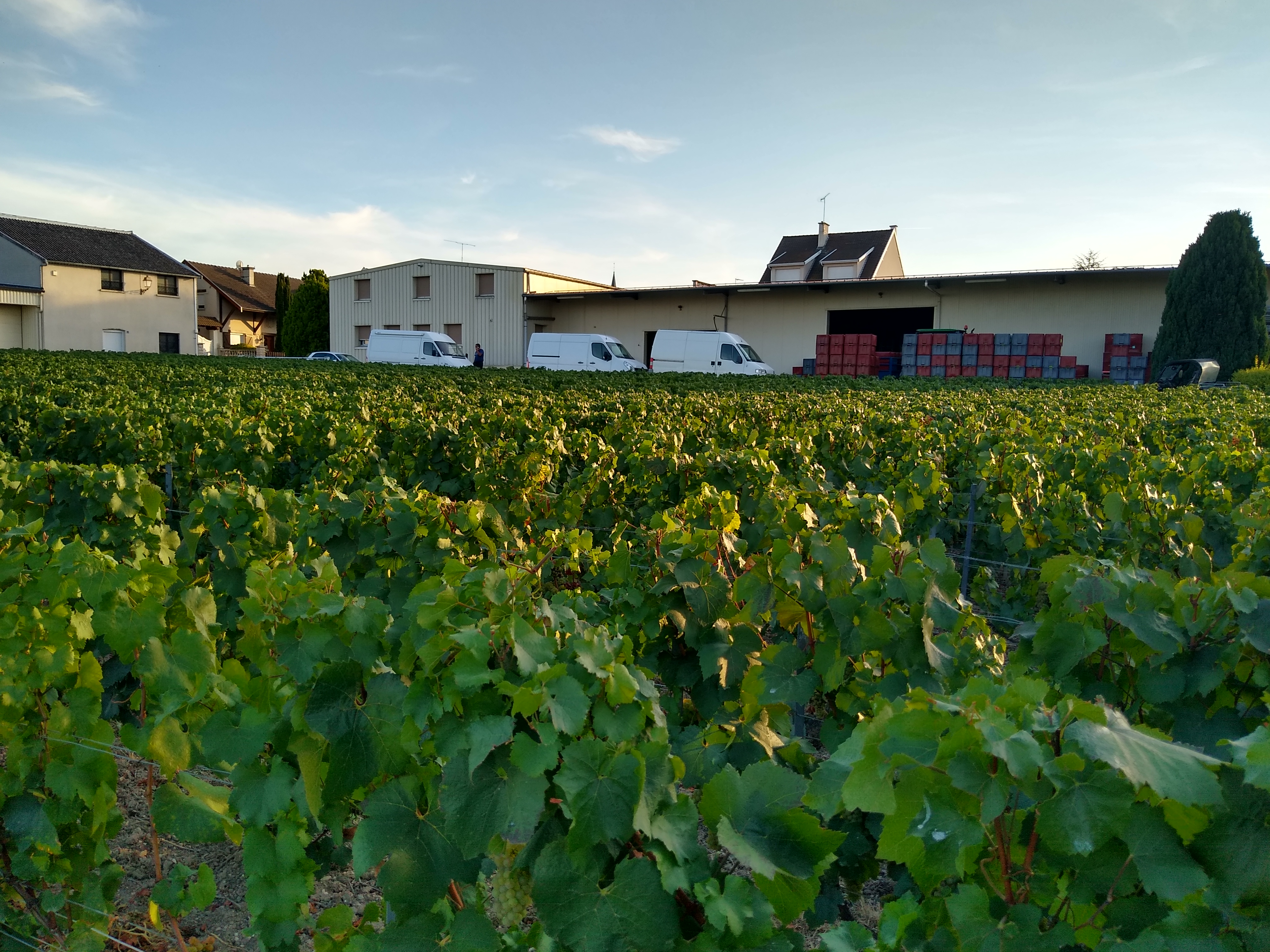 Photo n° 1 de l'avis de Dominique.A fait le 10/11/2018 à 20:19