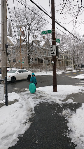 Park «Raymond Park», reviews and photos, Raymond St, Cambridge, MA 02140, USA